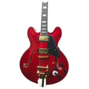 Custom Meridian 355 Hollow Berry Guitar