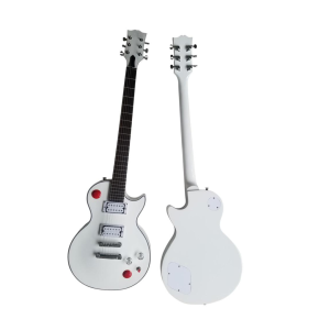 Custom Meridian Alpine BH Guitar