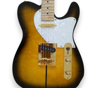 Custom Regent Merle Tuff Dog Sunburst Guitar