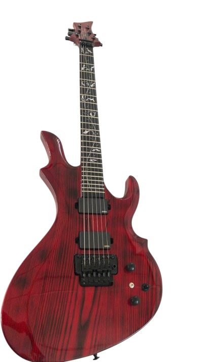 Custom Obsidian 460 Flame Burner Red LED Fretboard Chris Eternal Guitar - Image 5