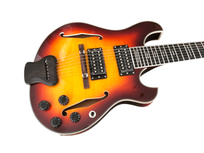 Custom Vesper Languedoc Region PL G2 Sunburst Guitar - Image 6