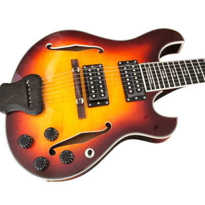 Custom Vesper Languedoc Region PL G2 Sunburst Guitar - Image 6
