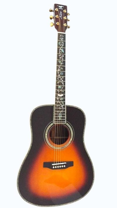Custom Vertex D28 Acoustic Guitar