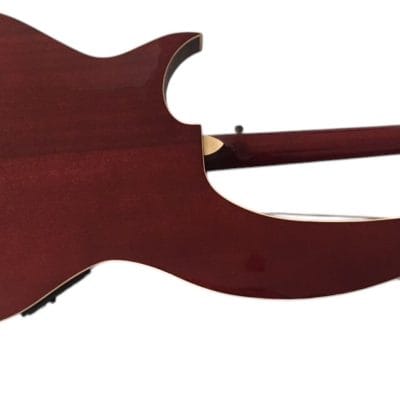 Custom Eclipse Harp Double Neck Acoustic Electric Guitar - Image 6