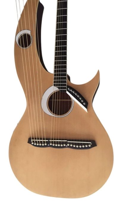 Custom Eclipse Harp Double Neck Acoustic Electric Guitar