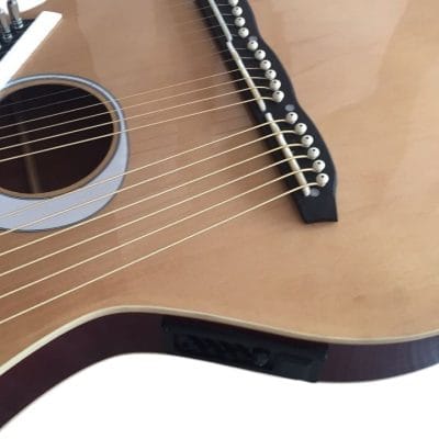 Custom Eclipse Harp Double Neck Acoustic Electric Guitar - Image 9