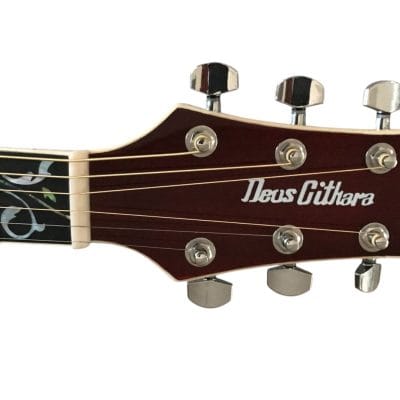 Custom Eclipse Harp Double Neck Tree of Life Inlay Acoustic Electric Guitar - Image 4