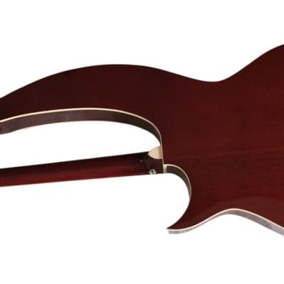 Custom Eclipse Harp Double Neck Tree of Life Inlay Acoustic Electric Guitar - Image 8