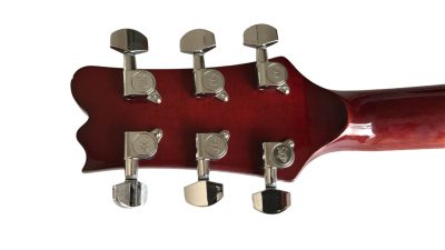 Custom Eclipse Harp Double Neck Tree of Life Inlay Acoustic Electric Guitar - Image 9