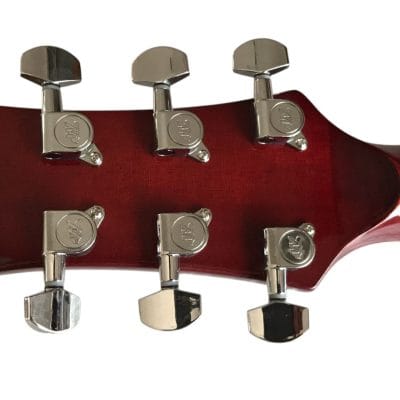 Custom Eclipse Harp Double Neck Tree of Life Inlay Acoustic Electric Guitar - Image 9