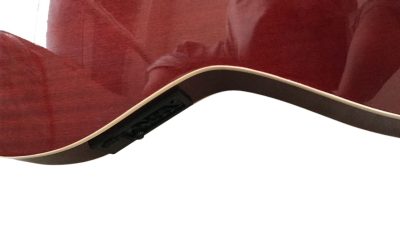 Custom Eclipse Harp Double Neck Tree of Life Inlay Acoustic Electric Guitar - Image 10