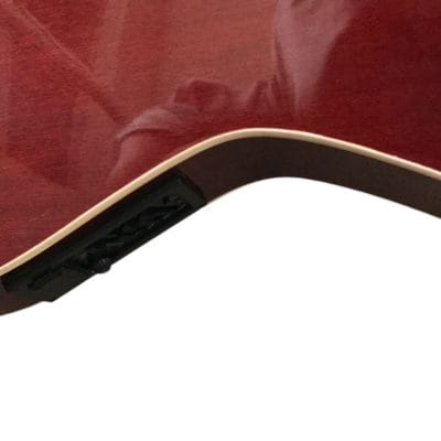 Custom Eclipse Harp Double Neck Tree of Life Inlay Acoustic Electric Guitar - Image 10