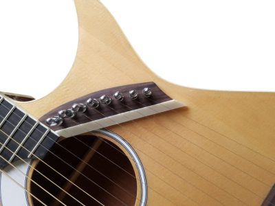 Custom Eclipse Harp Double Neck Guitar - Image 4