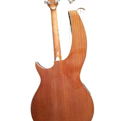 Custom Eclipse Harp Double Neck Guitar - Image 6