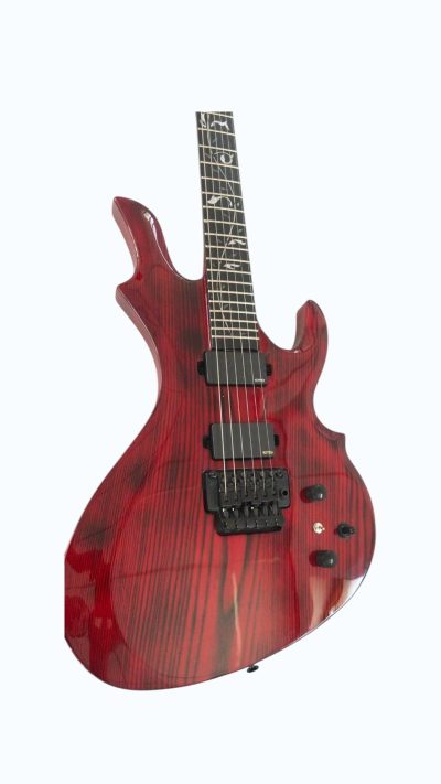 Custom Obsidian 460 Flame Burner Red LED Fretboard Chris Eternal Guitar