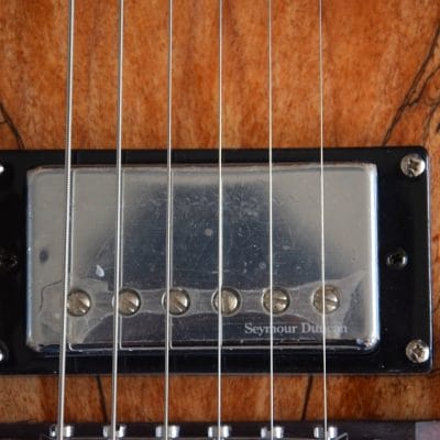 Custom Vesper Languedoc Region G2 Spalted Guitar - Image 16