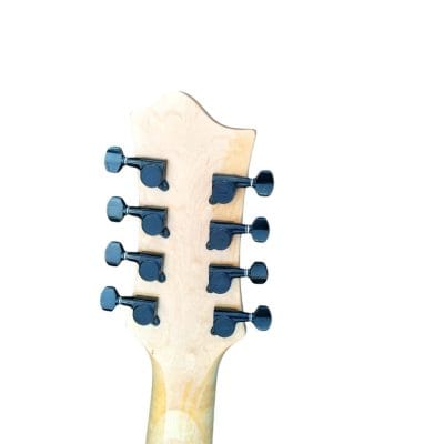 Custom Raven Pacer 8 String Electric Guitar - Image 8