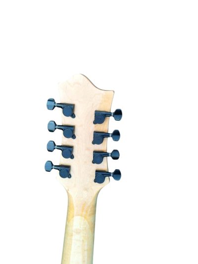 Custom Raven Pacer 8 String Electric Guitar - Image 8