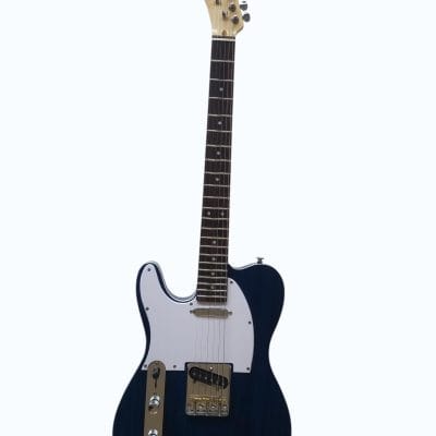 Custom Regent TL EC Blue Guitar - Image 2