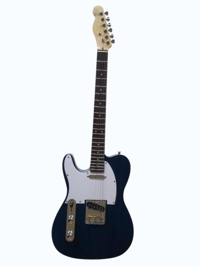 Custom Regent TL EC Blue Guitar - Image 2