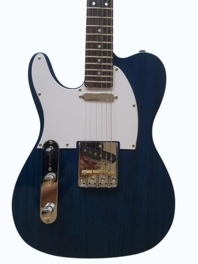 Custom Regent TL EC Blue Guitar