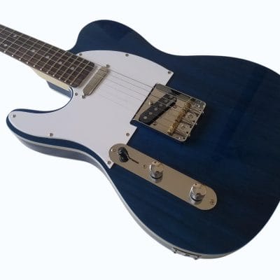 Custom Regent TL EC Blue Guitar - Image 6