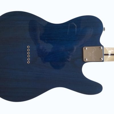 Custom Regent TL EC Blue Guitar - Image 9