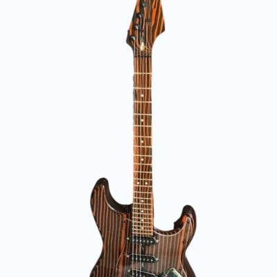 Custom Regent ST Zebra Wood Guitar - Image 4