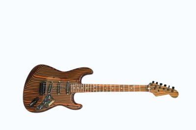Custom Regent ST Zebra Wood Guitar - Image 5