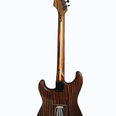 Custom Regent ST Zebra Wood Guitar - Image 6