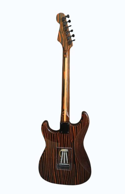 Custom Regent ST Zebra Wood Guitar - Image 6
