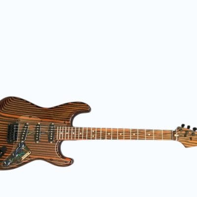 Custom Regent ST Zebra Wood Guitar - Image 7