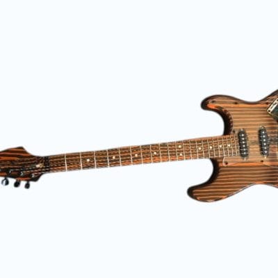 Custom Regent ST Zebra Wood Guitar - Image 11