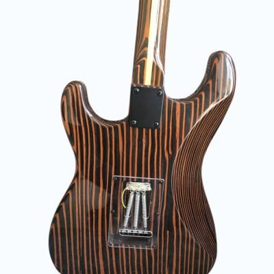 Custom Regent ST Zebra Wood Guitar - Image 12