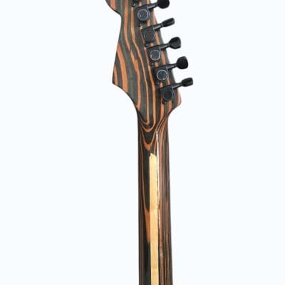Custom Regent ST Zebra Wood Guitar - Image 13