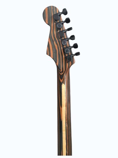 Custom Regent ST Zebra Wood Guitar - Image 13
