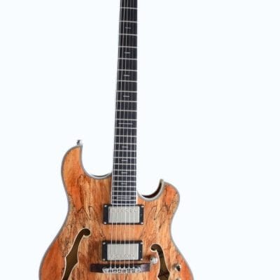 Custom Vesper Languedoc Region G2 Spalted Guitar - Image 2