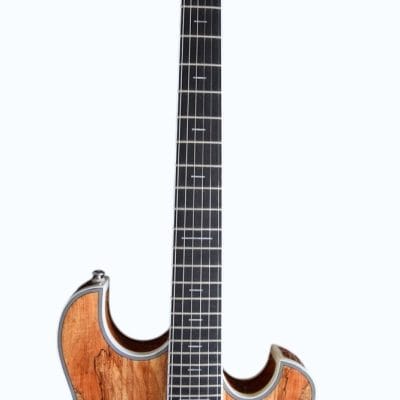 Custom Vesper Languedoc Region G2 Spalted Guitar - Image 4