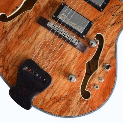 Custom Vesper Languedoc Region G2 Spalted Guitar - Image 7