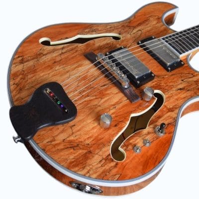 Custom Vesper Languedoc Region G2 Spalted Guitar - Image 9