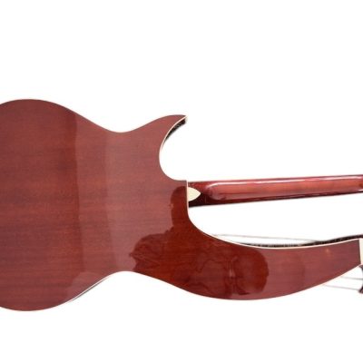 Custom Eclipse Harp Double Neck Natural Finish Acoustic Guitar - Image 4