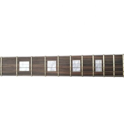 Custom Lazu Wolfgang Quilted Maple Top Tremolo Guitar - Image 9
