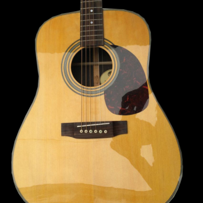 Custom Vertex D28 Solid Sitka Spruce Top Dreadnought Acoustic Guitar