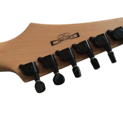 Custom Axis SVAI 1989 Jem Floral Pattern Guitar - Image 5