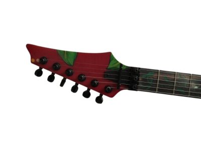Custom Axis SVAI 1989 Jem Lotus Floral Pattern Guitar - Image 11
