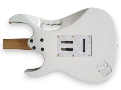 Custom Axis SVAI Jem Gold Flower Design White Electric Guitar - Image 4
