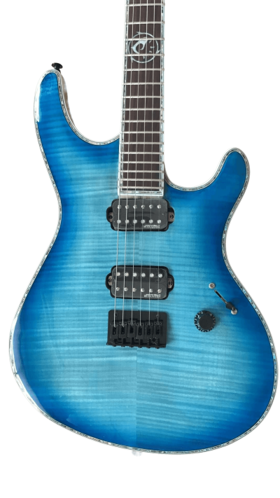 Custom Onyx Regius Blue Burst Flame Maple 8 String Guitar