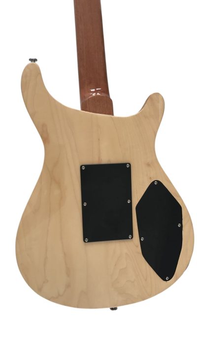 Custom Monarch SE Flame Maple Top Blue Guitar - Image 5
