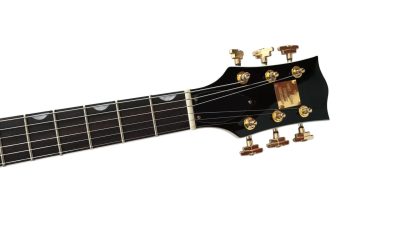 Custom Sovereign Chet 6122 Country Gentleman Vintage Guitar - Image 3
