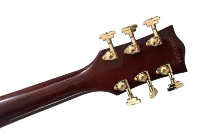 Custom Sovereign Chet 6122 Country Gentleman Vintage Guitar - Image 5